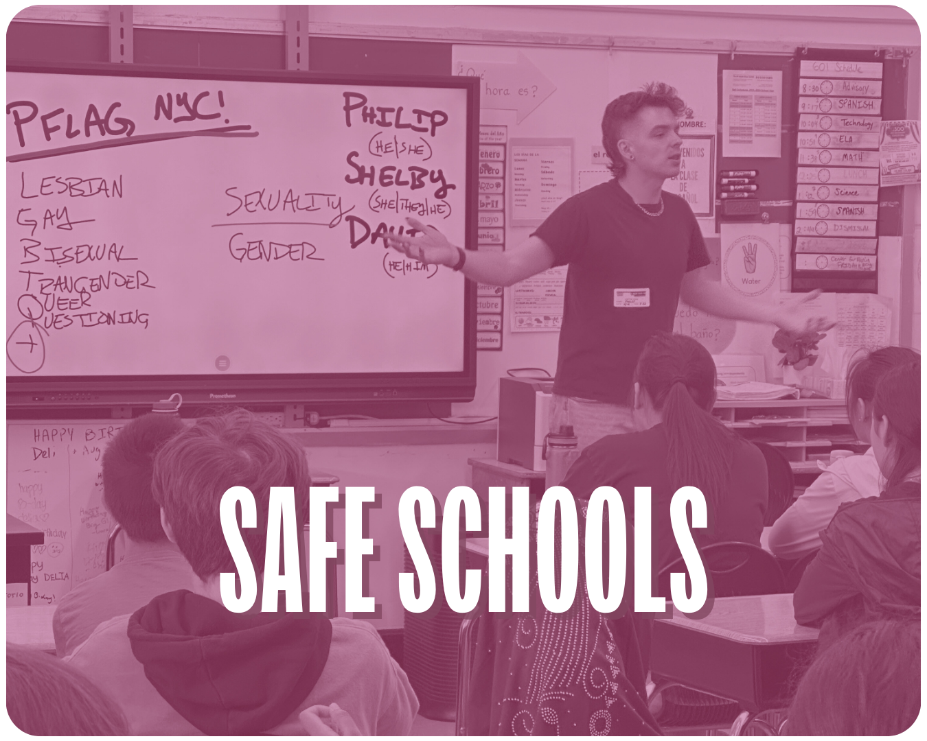 A purple-filtered image of a PFLAG volunteer teaching students with the words "Safe Schools" over them