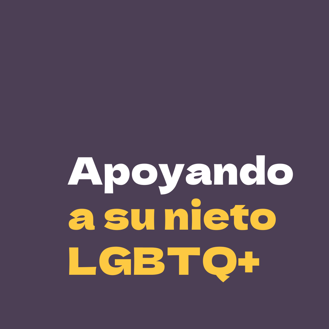 A dark purple cover image with white and yellow text for the PFLAG National publication: "Apoyando a su nieto LGBTQ+"